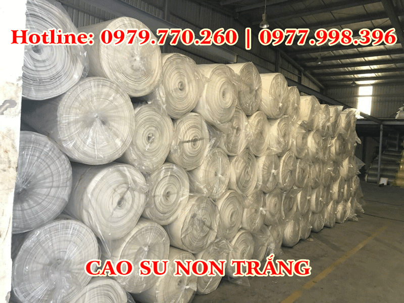 Cao su non trắng l&oacute;t s&agrave;n gỗ