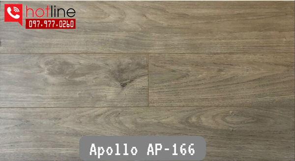Sàn gỗ công nghiệp Apollo AP166 Sàn gỗ công nghiệp Apollo AP166