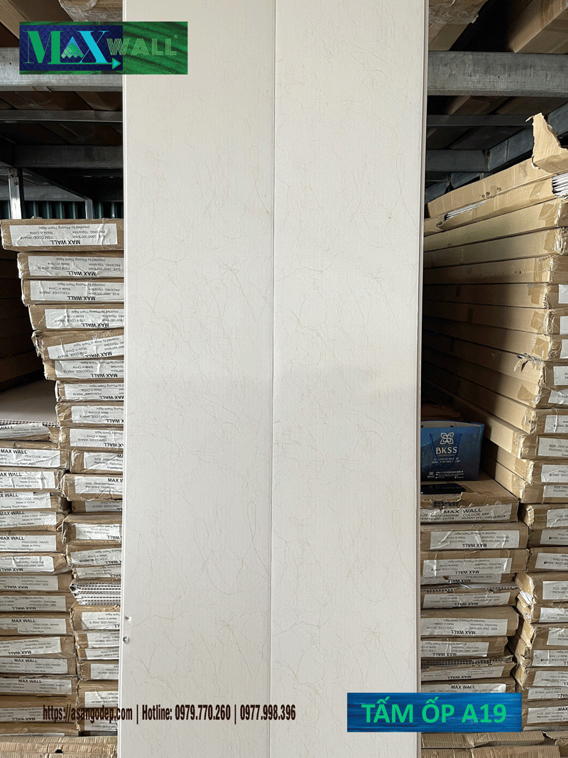 Mẫu ốp tường Maxwall cao cấp 