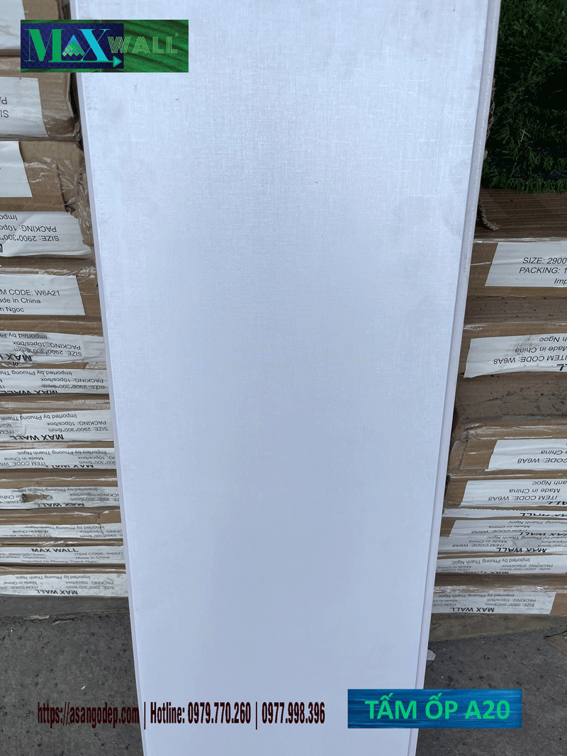 Mẫu ốp tường Maxwall cao cấp 