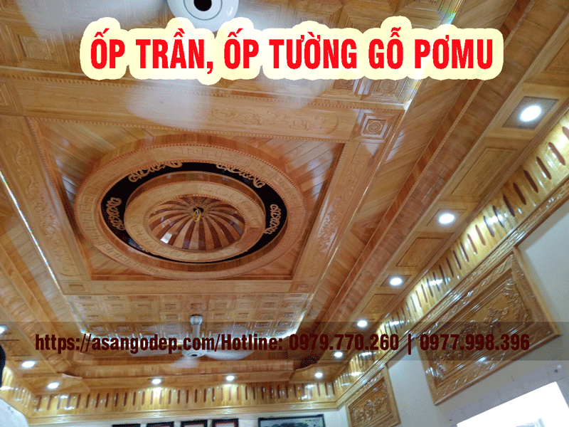 Ốp trần, ốp tường gỗ pơmu