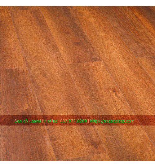 Sàn gỗ Janmi ME12 Sàn gỗ Janmi ME12