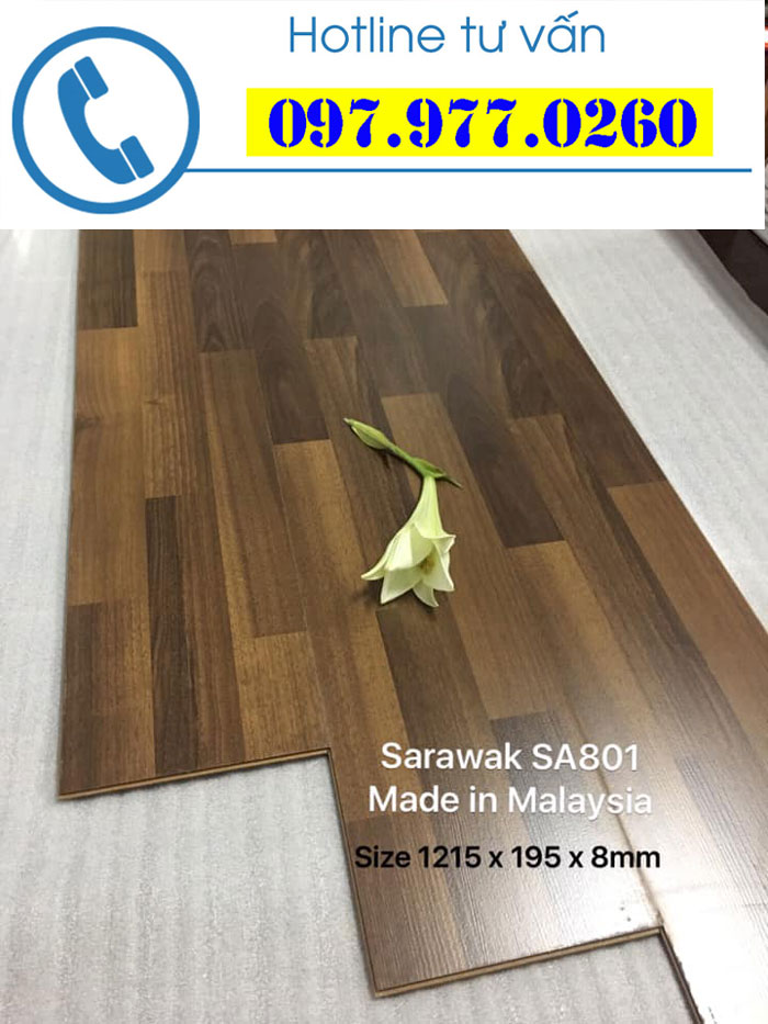 Sàn gỗ công nghiệp Sarawak SA 801 dày 8mm
