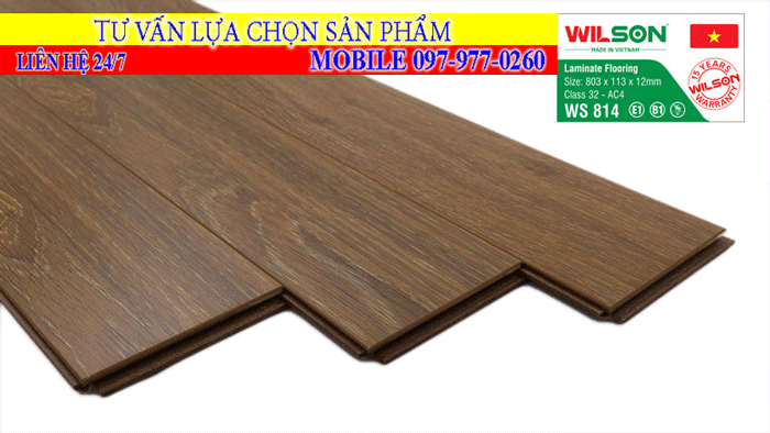 Sàn gỗ wilson 12mm mã màu WS 814