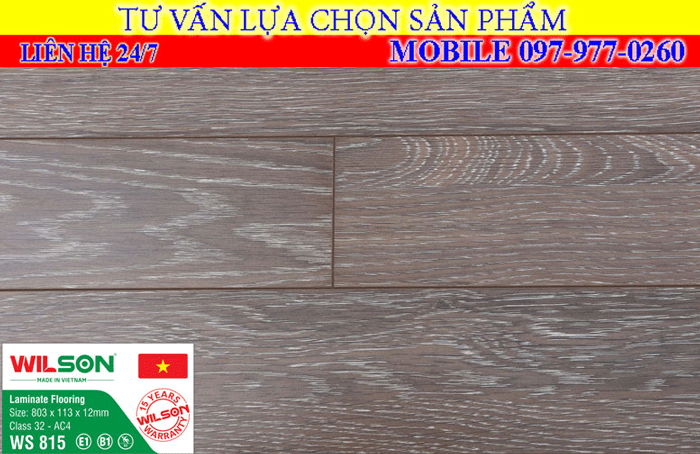 Sàn gỗ wilson 12mm mã màu WS 815