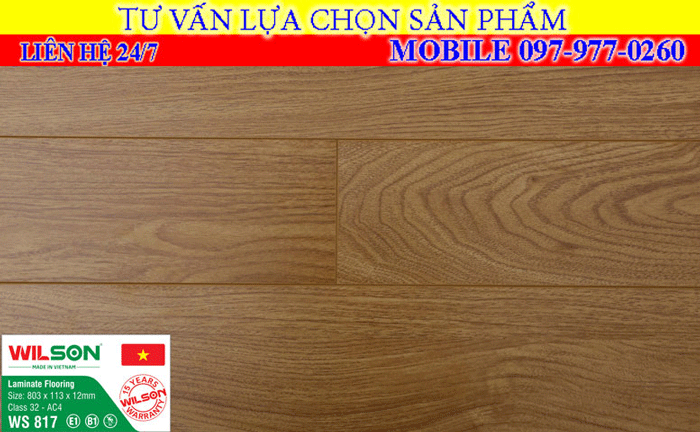 Sàn gỗ wilson 12mm mã màu WS 817