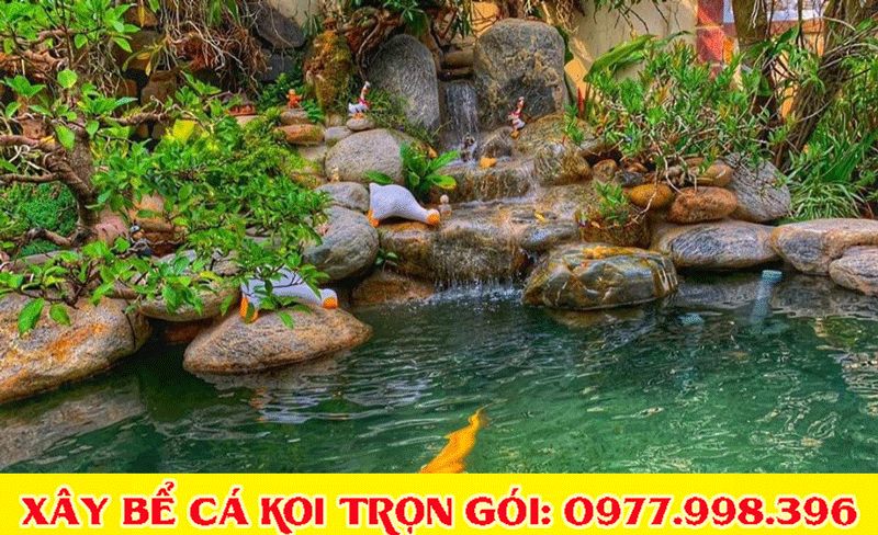 Mẫu bể cá koi đẹp 2020 Mẫu bể cá koi đẹp 2020