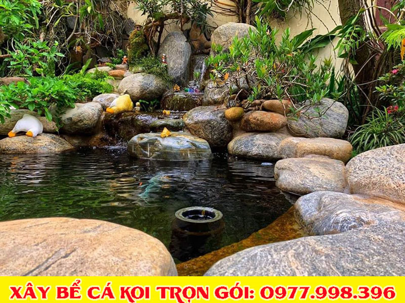 Mẫu bể cá koi đẹp 2020 Mẫu bể cá koi đẹp 2020