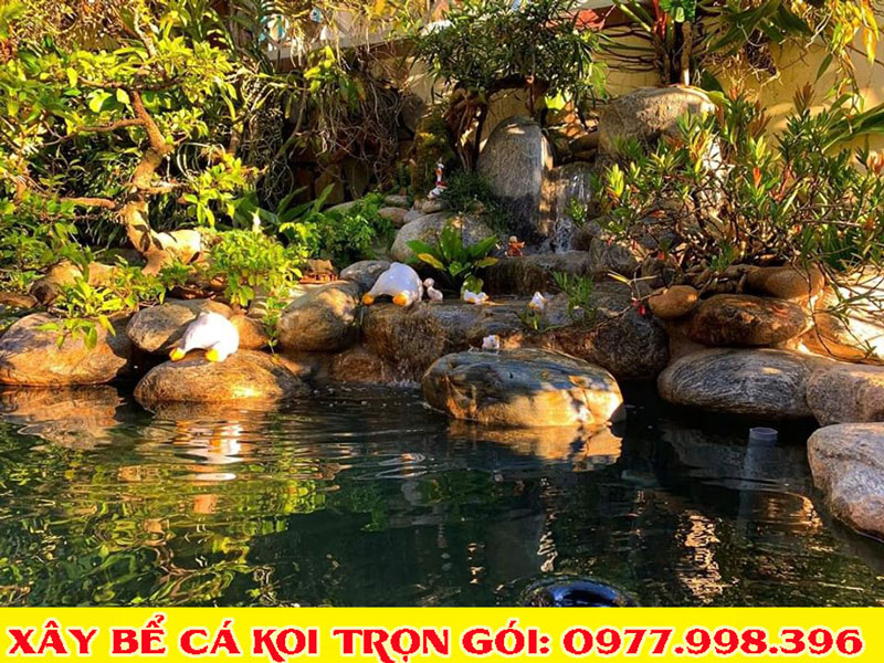 Mẫu bể cá koi đẹp 2020 Mẫu bể cá koi đẹp 2020