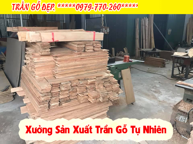 Xưởng sản xuất trần gỗ tự nhiên Pơ Mu phòng khách