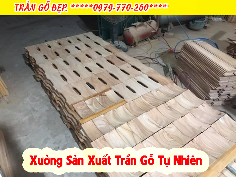 Xưởng sản xuất trần gỗ tự nhiên Pơ Mu phòng khách